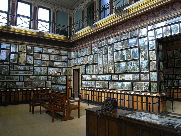 The Marianne North Gallery at Kew Gardens