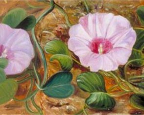 A Sand-Binding Plant of Tropical Shores by Marianne North
