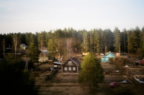 Dachas in the forest