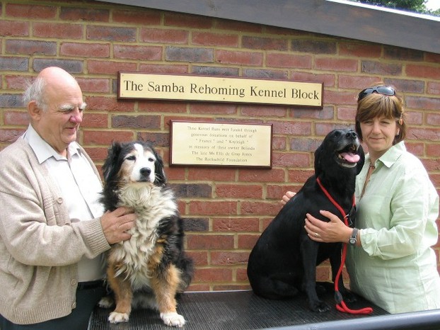 New Kennel Runs, Hearing Dogs, Saunderton