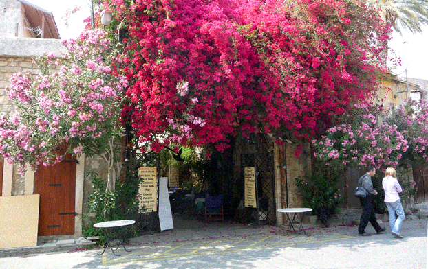 Flower-drenched patios and bars in Lemoses (Limassol)