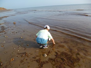 Looking for Fossils at the Waters' Edge