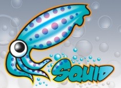Squid Open Source Proxy