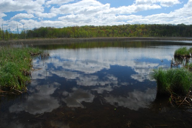 Butler Lake and Flynn's Spring State Natural Area (No. 257), Kettle Moraine State Forest Northern Unit