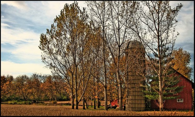 Mitten Farm, dating from ca. 1848, in autumn with stand of birch trees