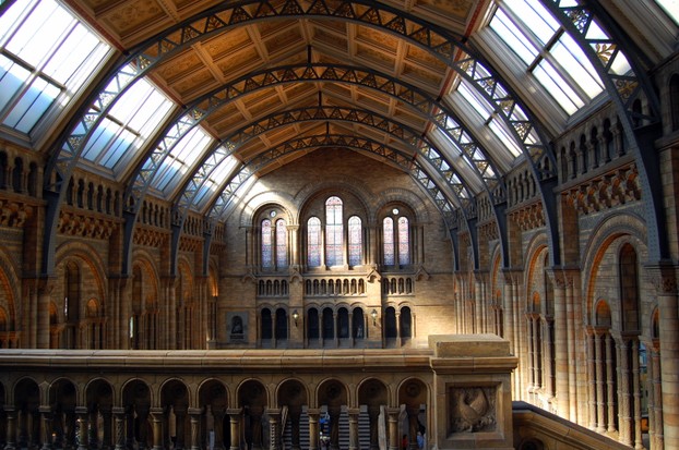 Central Hall of Natural History Museum