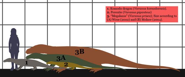 estimated sizes of extant monitor lizards comparative to size estimates for Megalania