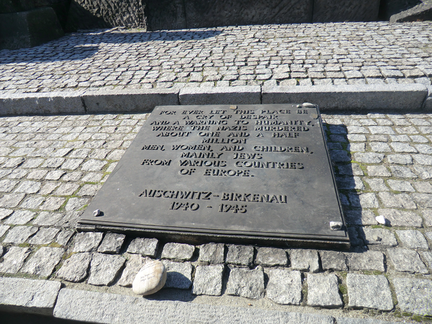 Image: A remembrance stone for Fritz Richter (bottom right).