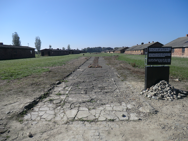Image: The remains of the barracks where Eva Mozes Kor was held.