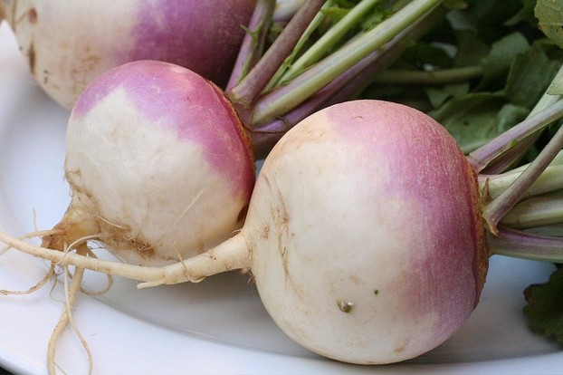 turnips (Brassica rapa): both roots and greens participate wonderfully in soups.