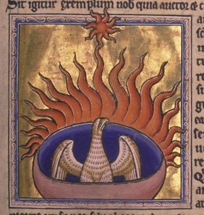 Phoenix rising from its fiery ashes