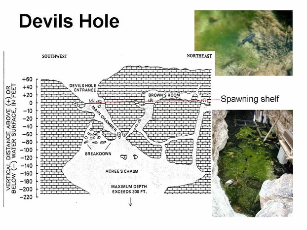Devils Hole cut-away graphic