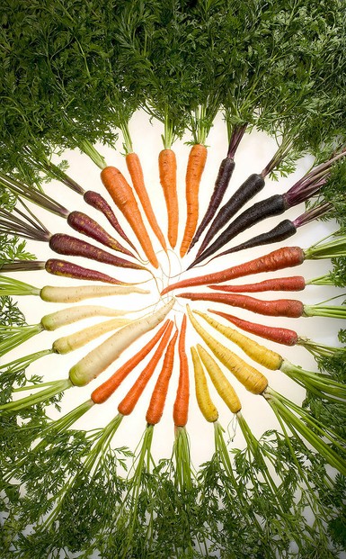 "Carrots of many colors", photo by Stephen Ausmus, courtesy of USDA Agricultural Research Service