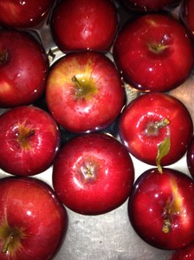 #2 Johnagold apples are great canning apples