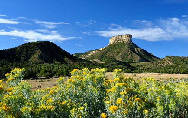 Point Lookout, Mesa Verde National Park, Montezuma County, southwestern Colorado