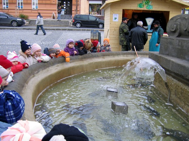 Christmas carps in public fountain in Uherský Brod, southeast Morava, eastern Czech Republic