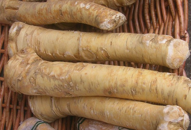 distinctively horseradish