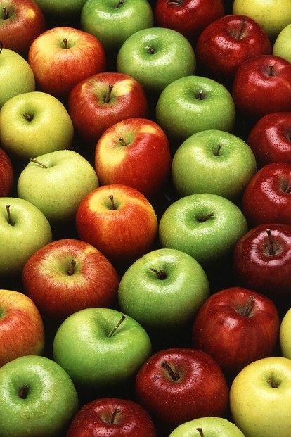 "Apples are an all-American success story-each of us eats more than 19 pounds of them annually."