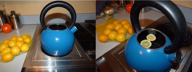 Remove mineral buildup in teapot