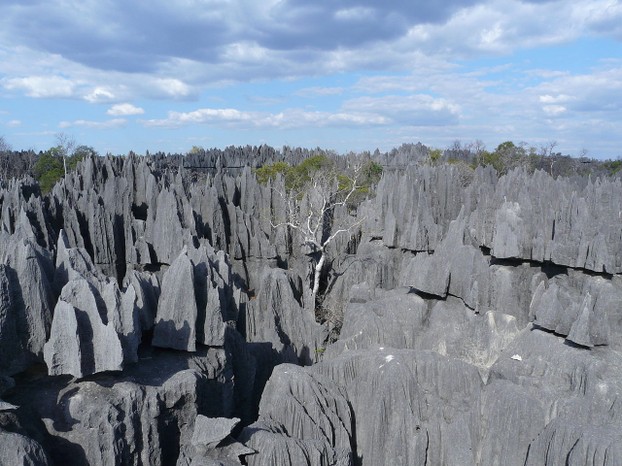 Great Tsingy, Tsingy de Bemaraha National Park, Melaky region, northwestern Madagascar