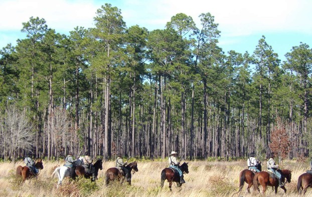Confederate Calvary at the Battle of Olustee