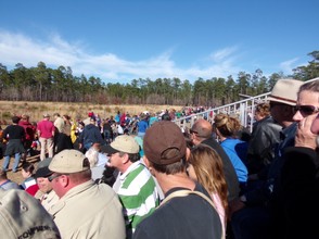 Crowds on the Union Side of Olustee Battlefield