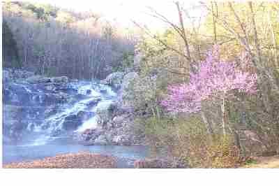 "Redbuds add even more beauty to Rocky Falls in the springtime."