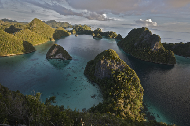 panorama of Raja Ampat Islands; J. Chase, "Which Came First," PLOS Biology, vol. 10, issue 12 (December 2012), e1001457