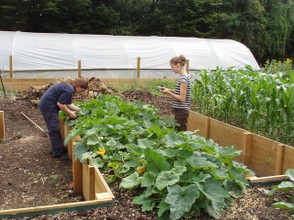 Vegetable beds for disabled access