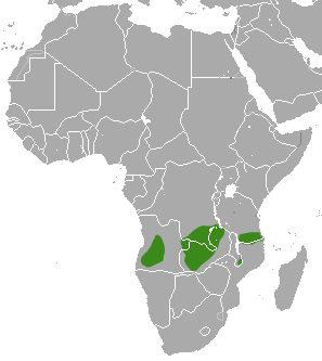 Distribution data from IUCN Red List