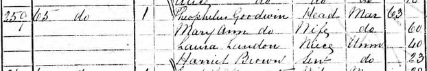 Image: Laura Landon in the 1871 Census
