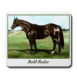 Preakness winner Bold Ruler, painted by Terry McNamee