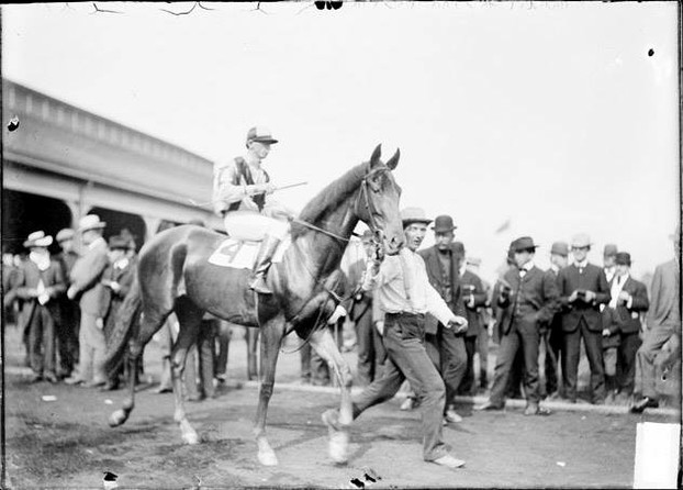 Flocarline, the first filly to win the Preakness.