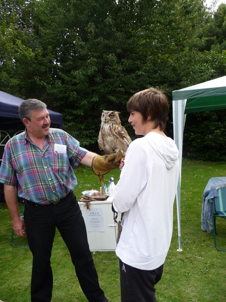 Falconry Day at Arundel Castle Summer Event
