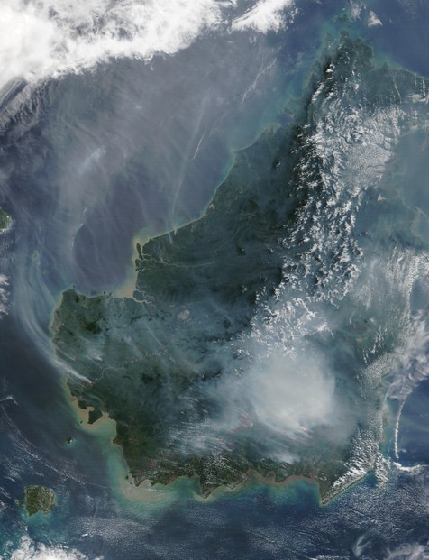 Satellite image of the island of Borneo on August 19, 2002, showing smoke from burning peat swamp forests.