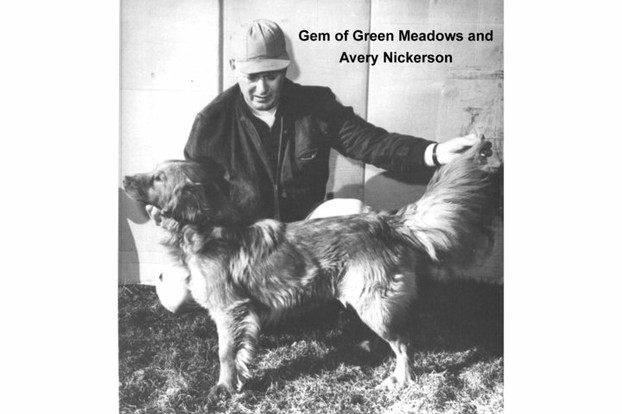 Avery Nickerson with his Toller, Gem of Green Meadows (Champ), early 1960s