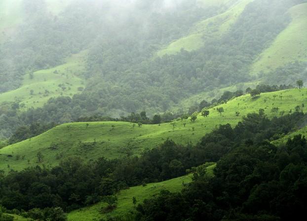 Shola Grasslands and Forests in the Kudremukh National Park, Western Ghats, southwestern Karnataka, South West India