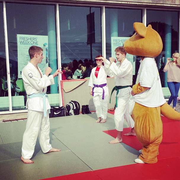 At my Freshers Fayre a Kangaroo Learnt Taekwondo
