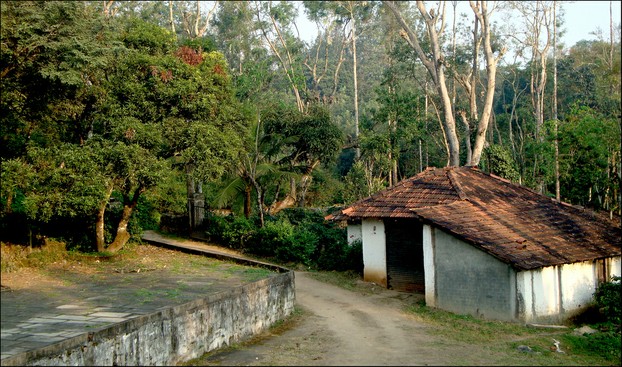 Chikkamagaluru (Chikmagalur), Chikkamagaluru district, southwest Karnataka state, southwest India