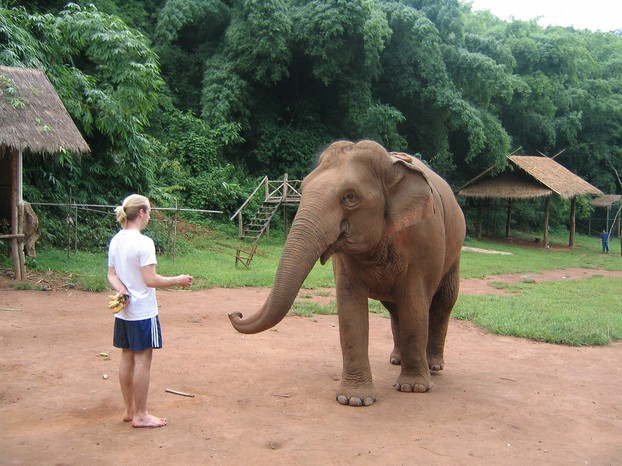 Anantara Golden Triangle Elephant Camp, Chiang Saen, Chiang Rai Province, northwestern Thailand