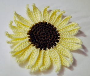 Sunflower and Petals
