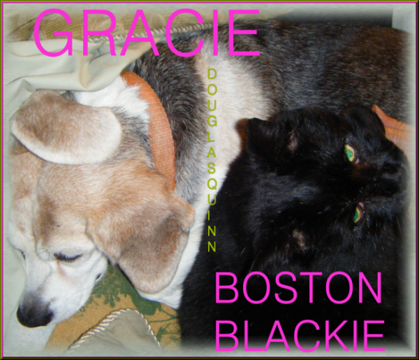 Gracie and Blackie, Undercover Dog and Sidekick Cat