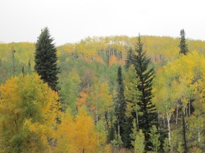 Autumn in Northern Colorado