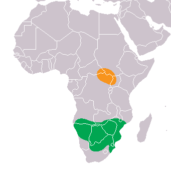 Native Range Map symbols: orange = Northern White Rhino (C.s. cottoni); green = Southern White Rhino (C.s. simum)