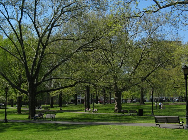Upper New Haven Green in spring, New Haven County, southwestern Connecticut
