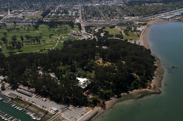 Coyote Point Park, with distinctive covering of eucalyptus grove, Burlingame/San Mateo border, San Francisco Bay Area