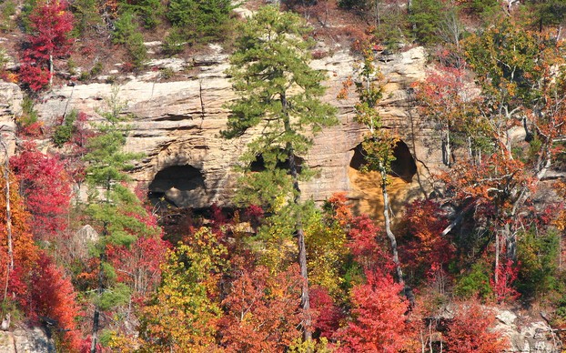 Red River Gorge's "caves with color"; Sunday, November 2, 2008, at 11:54:15