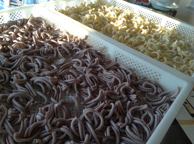 These two trays of strozzapretti were made in an hour's time with 2 kg of semolina flour.
