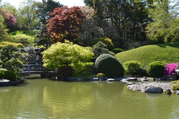 The Japanese Hill-and-Pond Garden is the first Japanese garden created in the United States, in 1914-1915.