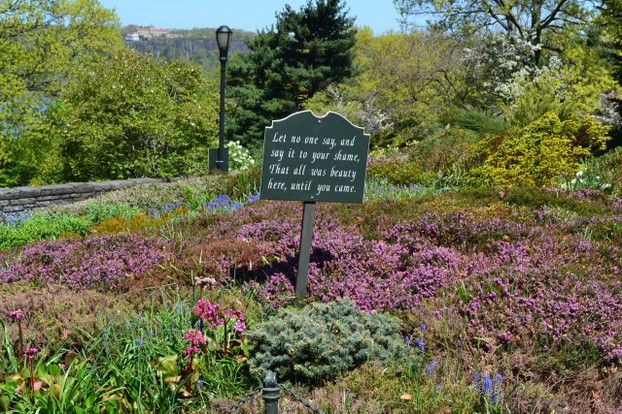 Gardens of wildflowers and spring blooms provide a dazzling display of colors.